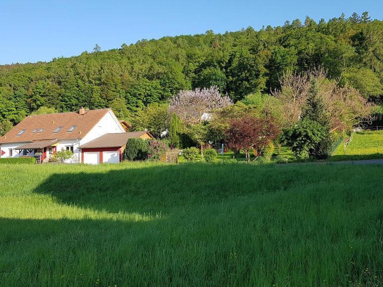 Ferienwohnung Schmidt Werratal Wanfried Exterior foto